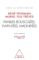 Familles bousculées, inventées, magnifiées