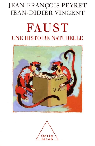 Faust - Jean-François Peyret, Jean-Didier Vincent - Odile Jacob