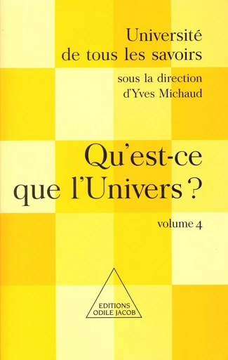 Qu'est-ce que l'Univers ? - Yves Michaud - Odile Jacob