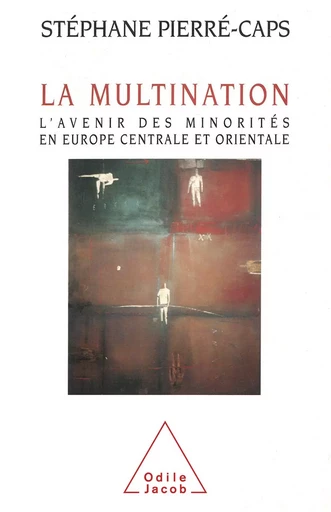 La Multination - Stéphane Pierré-Caps - Odile Jacob