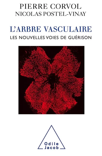 L' Arbre vasculaire - Pierre Corvol, Nicolas Postel-Vinay - Odile Jacob