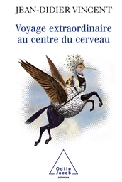 Voyage extraordinaire au centre du cerveau