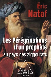 Les Pérégrinations d’un prophète au pays des ziggourats