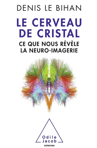 Le Cerveau de cristal - Denis Le Bihan - Odile Jacob