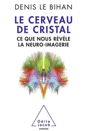 Le Cerveau de cristal