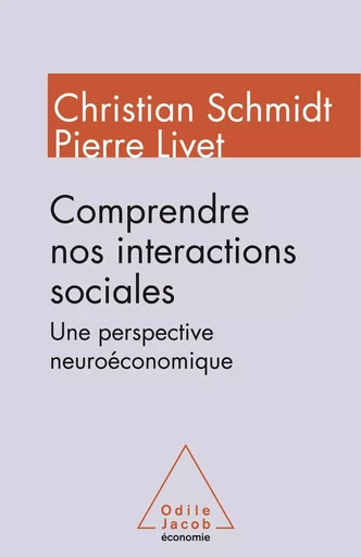 Comprendre nos interactions sociales - Christian Schmidt - Odile Jacob