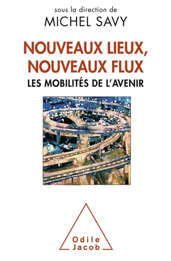 Nouveaux lieux, nouveaux flux - Michel Savy - Odile Jacob