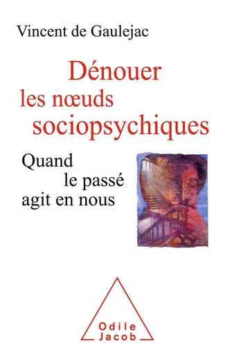 Dénouer les nœuds sociopsychiques - Vincent de Gaulejac - Odile Jacob