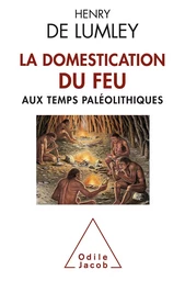 La Domestication du feu aux temps paléolithiques