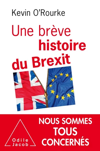 Une brève histoire du Brexit - Kevin O'Rourke - Odile Jacob