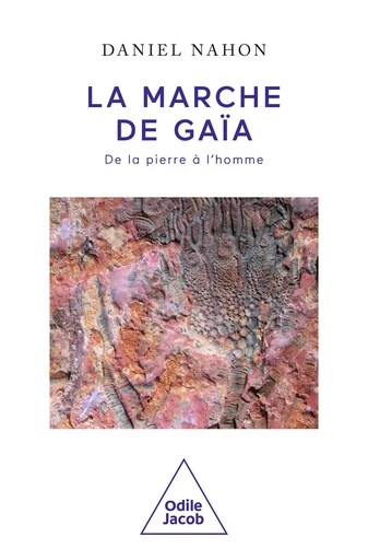 La Marche de Gaïa - Daniel Nahon - Odile Jacob