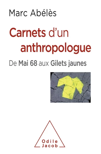 Carnets d'un anthropologue - Marc Abélès - Odile Jacob