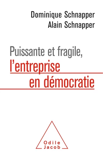 Puissante et fragile, l'entreprise en démocratie - Dominique Schnapper, Alain Schnapper - Odile Jacob