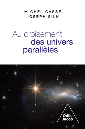 Au croisement des univers parallèles - Michel Cassé, Joseph Silk - Odile Jacob