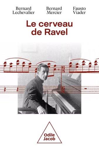 Le Cerveau de Ravel - Bernard Lechevalier, Bernard Mercier, Fausto Viader - Odile Jacob