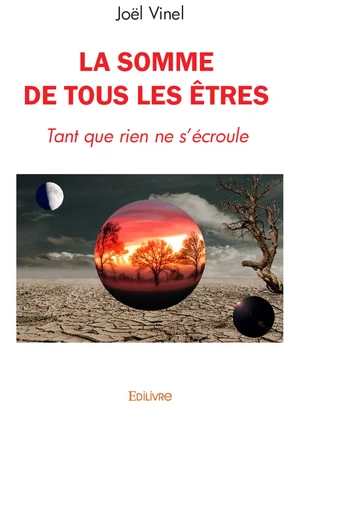 La Somme de tous les êtres - Joël Vinel - Editions Edilivre