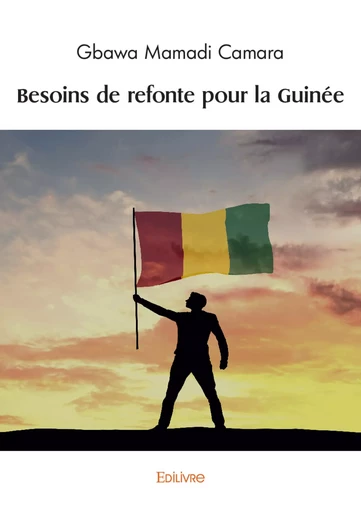 Besoins de refonte pour la Guinée - Mamadi Gbawa Camara - Editions Edilivre