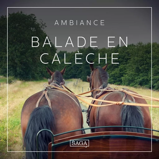 Ambiance - Balade en calèche - Rasmus Broe - Saga Egmont French