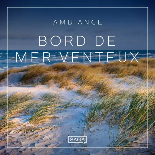 Ambiance - Bord de mer venteux - Rasmus Broe - Saga Egmont French