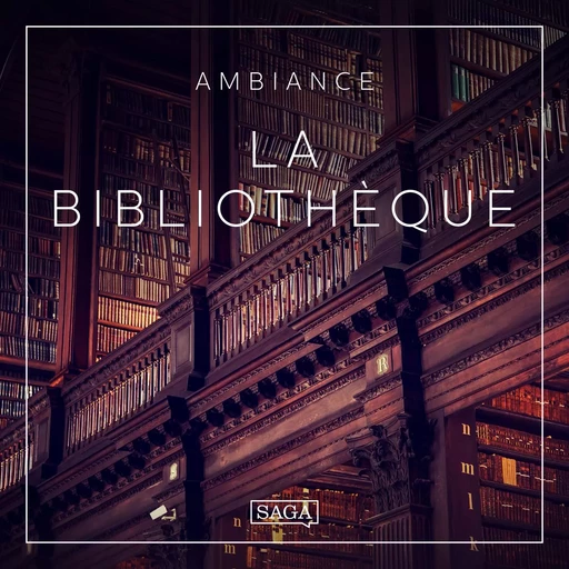 Ambiance - La Bibliothèque - Rasmus Broe - Saga Egmont French