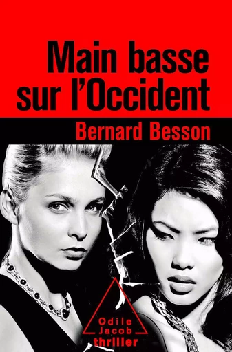 Main basse sur l’Occident - Bernard Besson - Odile Jacob