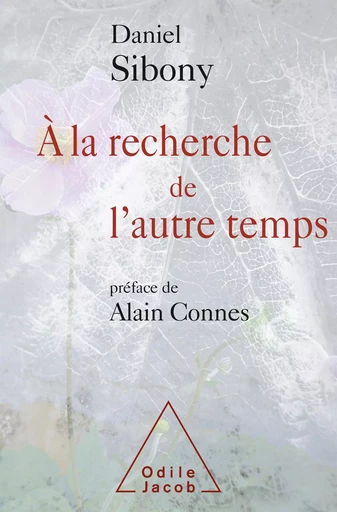 À la recherche de l’autre temps - Daniel Sibony - Odile Jacob