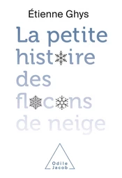 La petite histoire des flocons de neige