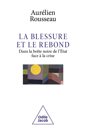 La Blessure et le Rebond - Aurélien Rousseau - Odile Jacob