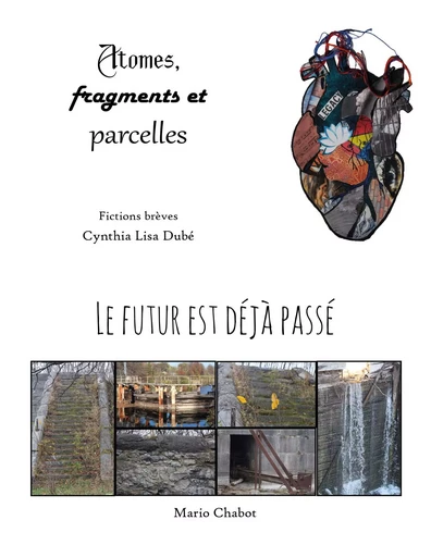 Le futur est déjà passé - Atomes, fragments et parcelles - Mario Chabot, Cynthia Lisa Dubé - Les célèbres anonymes