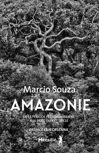 Amazonie : De la période précolombienne aux défis du XXIe siècle - Marcio Souza - Métailié