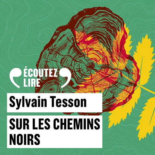 Sur les chemins noirs - Sylvain Tesson - Gallimard Audio