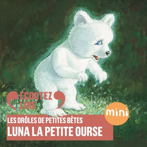 Luna la petite ourse - Les Drôles de Petites Bêtes - Antoon Krings - Gallimard Jeunesse Audio