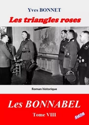 Les triangles roses