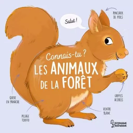 Connais-tu les animaux de la forêt ? - Agnès Besson - Larousse