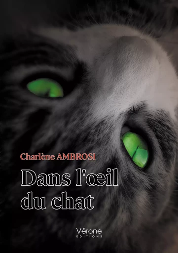 Dans l'œil du chat - Ambrosi Charlène - Editions Vérone