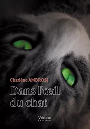 Dans l'œil du chat