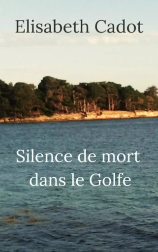 Silence de mort dans le Golfe - Élisabeth Cadot - Librinova