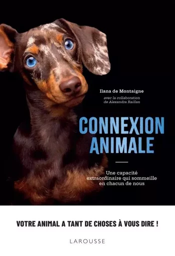 Connexion animale - Ilana De Montaigne - Larousse