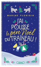 J'ai poussé le père Noël du traîneau !