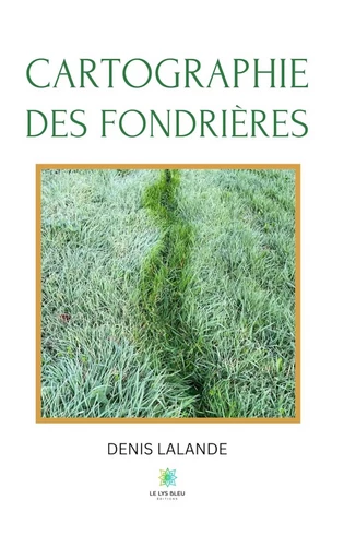 Cartographie des fondrières - Denis Lalande - Le Lys Bleu Éditions