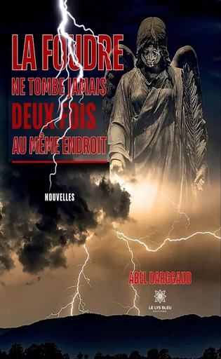 La foudre ne tombe jamais deux fois au même endroit - Abel Darggaud - Le Lys Bleu Éditions