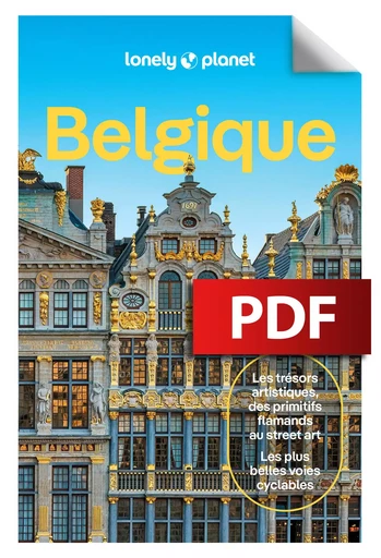 Belgique 1ed -  LONELY PLANET - edi8