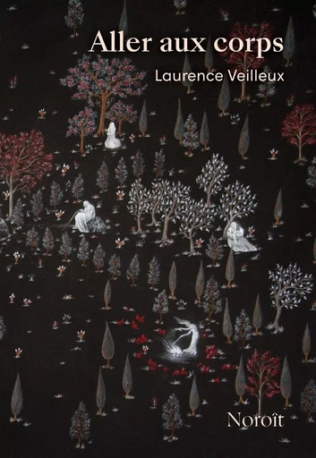 Aller aux corps - Laurence Veilleux - Éditions du Noroît