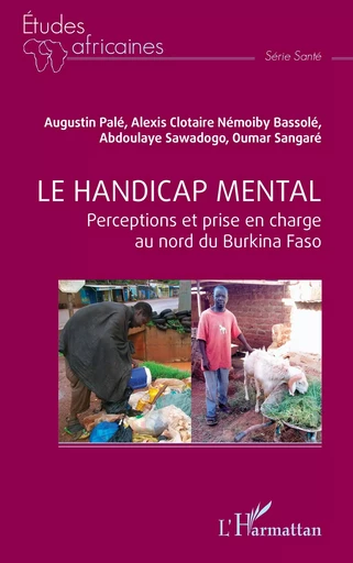 Le handicap mental - Oumar Sangaré, Augustin Palé, Alexis Clotaire Némoiby Bassolé, Abdoualye Sawadogo - Editions L'Harmattan