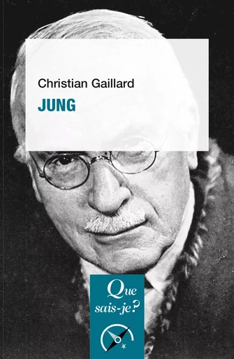 Jung - Christian Gaillard - Humensis