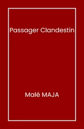 Passager clandestin