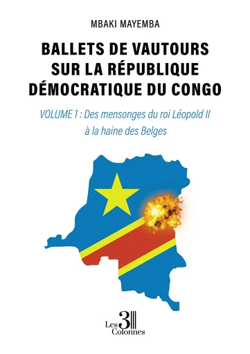 Ballets de vautours sur la République Démocratique du Congo - Mayemba Mbaki - Éditions les 3 colonnes