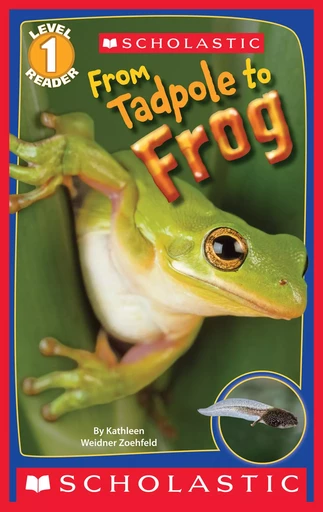 From Tadpole to Frog (Scholastic Reader, Level 1) - Kathleen Weidner Zoehfeld - Scholastic Inc.