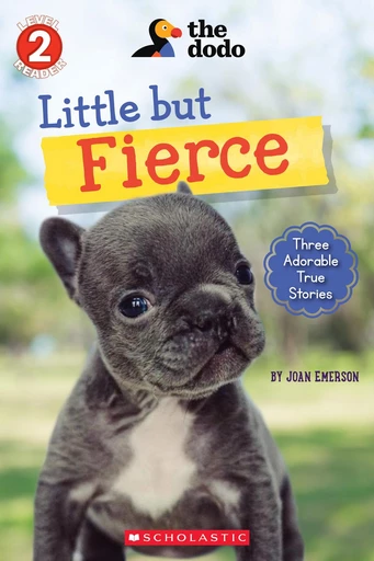 Little But Fierce (The Dodo: Scholastic Reader, Level 2) - Joan Emerson - Scholastic Inc.