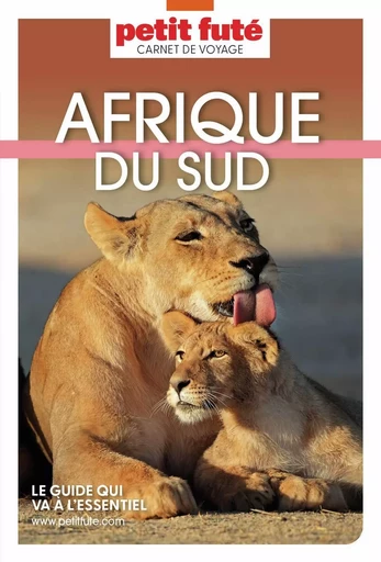 AFRIQUE DU SUD 2025 Carnet Petit Futé - Dominique Auzias, Jean-Paul Labourdette - Petit Futé